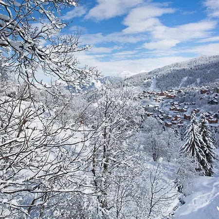 Skis Aux Pieds, Plein Sud, Centre De Mottaret, 3/4 Pers., Wifi, Non-fumeur - Fr-1-182-6 Apartment